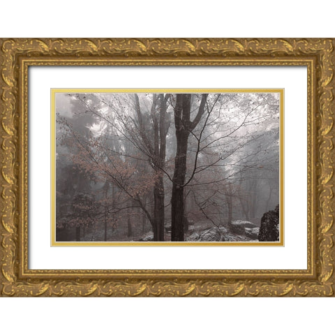 Always Together In Joy And Sorrow Gold Ornate Wood Framed Art Print with Double Matting by Jenny Rainbow Fine Art