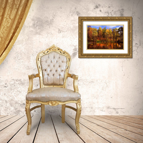 Autumn Reflections Gold Ornate Wood Framed Art Print with Double Matting by Jenny Rainbow Fine Art