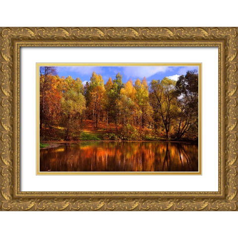Autumn Reflections Gold Ornate Wood Framed Art Print with Double Matting by Jenny Rainbow Fine Art
