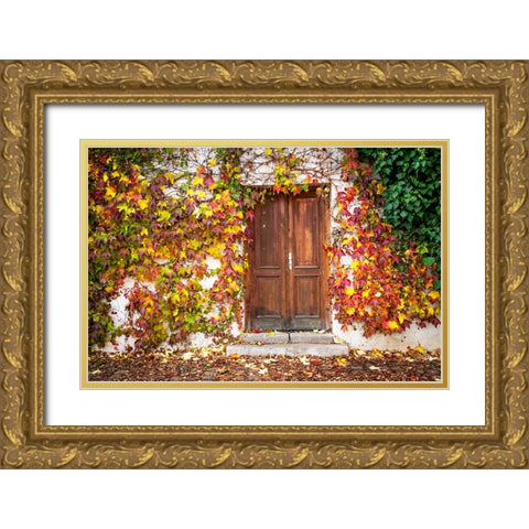 Autumn Wooden Doorway in Prague Gold Ornate Wood Framed Art Print with Double Matting by Jenny Rainbow Fine Art