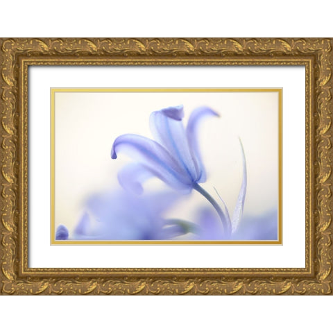 Blue Light Wild Hyacinth Gold Ornate Wood Framed Art Print with Double Matting by Jenny Rainbow Fine Art