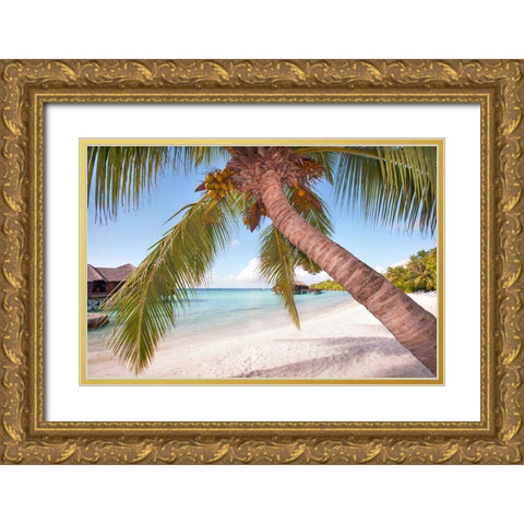 Bowed Palm Gold Ornate Wood Framed Art Print with Double Matting by Jenny Rainbow Fine Art