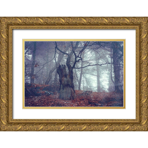 Celtic Guardian Gold Ornate Wood Framed Art Print with Double Matting by Jenny Rainbow Fine Art