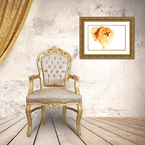 I am Here Gold Ornate Wood Framed Art Print with Double Matting by Jenny Rainbow Fine Art