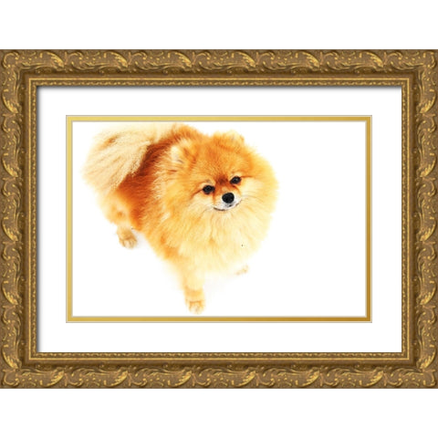 I am Here Gold Ornate Wood Framed Art Print with Double Matting by Jenny Rainbow Fine Art