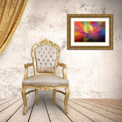 Mystery of Colors Rainbow Flower Gold Ornate Wood Framed Art Print with Double Matting by Jenny Rainbow Fine Art