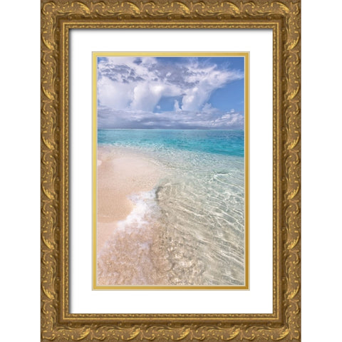 Natural Wonder Maldives Gold Ornate Wood Framed Art Print with Double Matting by Jenny Rainbow Fine Art