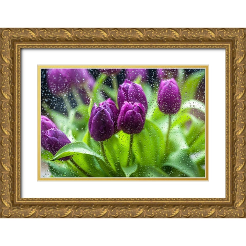 Purple Tulips in Rain Gold Ornate Wood Framed Art Print with Double Matting by Jenny Rainbow Fine Art