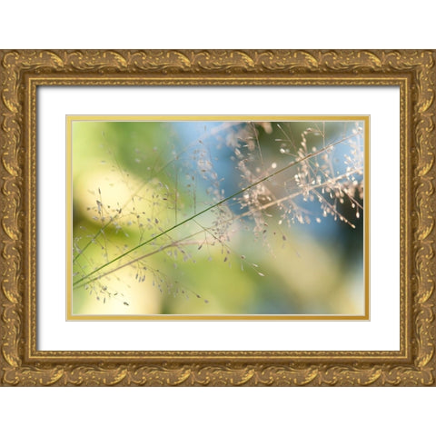 The Beauty of the Earth Gold Ornate Wood Framed Art Print with Double Matting by Jenny Rainbow Fine Art