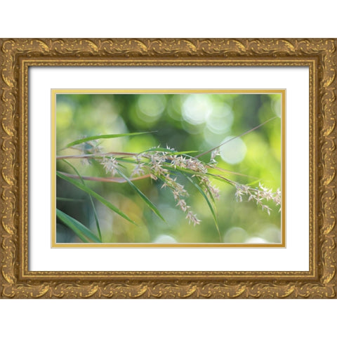 Waterfall of Lights Gold Ornate Wood Framed Art Print with Double Matting by Jenny Rainbow Fine Art