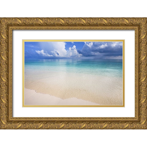 Wide Ocean Gold Ornate Wood Framed Art Print with Double Matting by Jenny Rainbow Fine Art