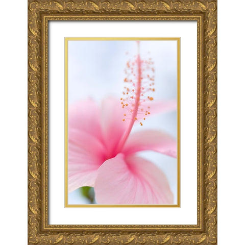 Invitation Into the Light Gold Ornate Wood Framed Art Print with Double Matting by Jenny Rainbow Fine Art