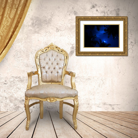 Magic of the Night Sky Gold Ornate Wood Framed Art Print with Double Matting by Jenny Rainbow Fine Art