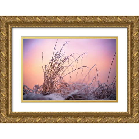 Magic Winter Moments 3 Gold Ornate Wood Framed Art Print with Double Matting by Jenny Rainbow Fine Art