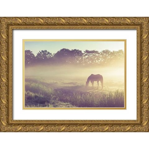 Misty Morning on the Dutch Field Gold Ornate Wood Framed Art Print with Double Matting by Jenny Rainbow Fine Art