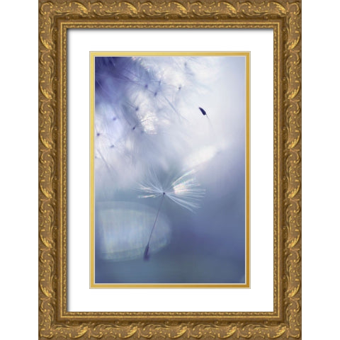 Mr Dandelion Light Flight Gold Ornate Wood Framed Art Print with Double Matting by Jenny Rainbow Fine Art