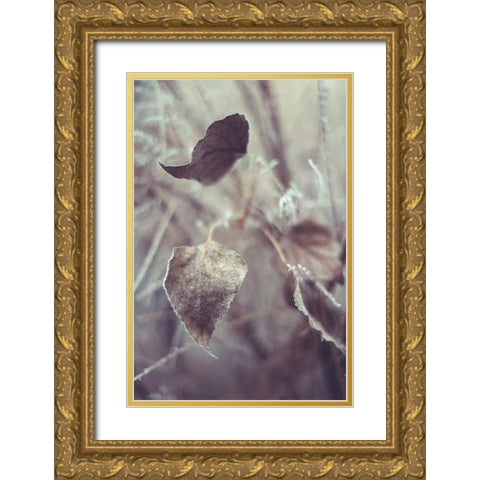 Part of Translucent Reality Gold Ornate Wood Framed Art Print with Double Matting by Jenny Rainbow Fine Art