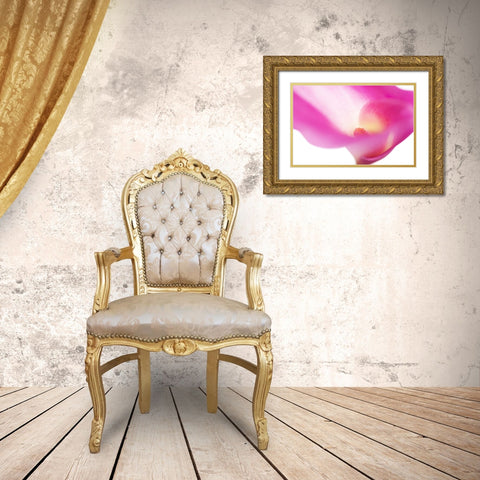 Pink Veil Gold Ornate Wood Framed Art Print with Double Matting by Jenny Rainbow Fine Art