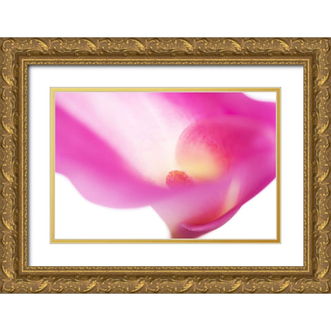 Pink Veil Gold Ornate Wood Framed Art Print with Double Matting by Jenny Rainbow Fine Art