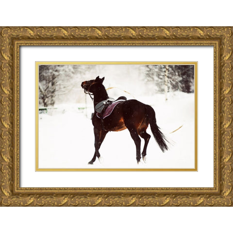 Race in the Snow Gold Ornate Wood Framed Art Print with Double Matting by Jenny Rainbow Fine Art