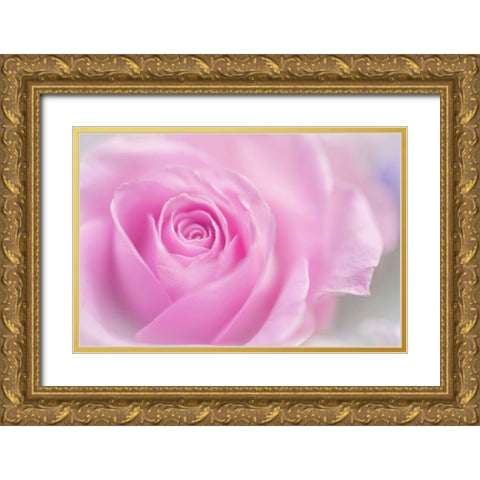 Series Pink Temptation Pink Rose Gold Ornate Wood Framed Art Print with Double Matting by Jenny Rainbow Fine Art
