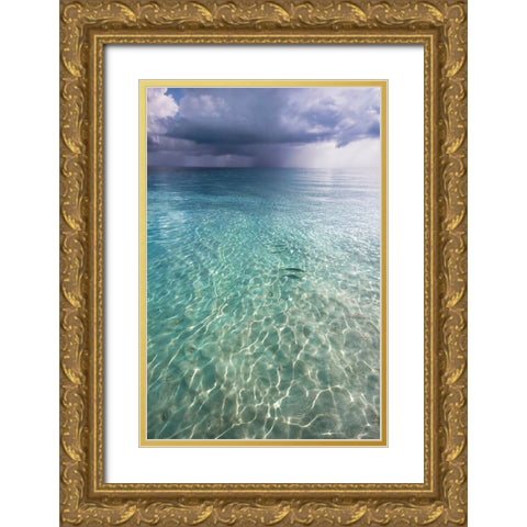 Somewhere is Rainy Gold Ornate Wood Framed Art Print with Double Matting by Jenny Rainbow Fine Art