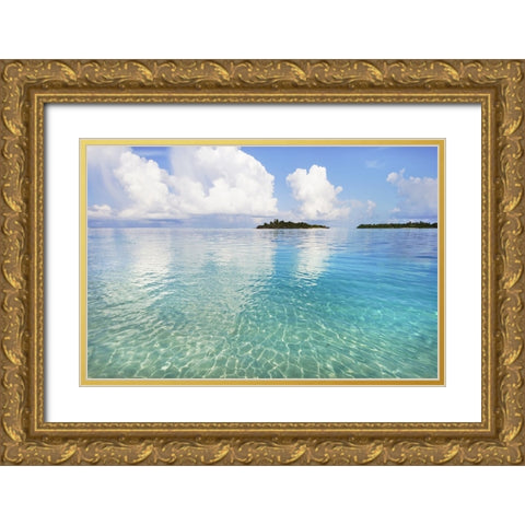 Sunny Invitation Gold Ornate Wood Framed Art Print with Double Matting by Jenny Rainbow Fine Art