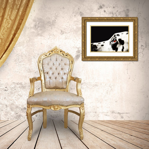 The Amber Eye of Dalmatian Dog Gold Ornate Wood Framed Art Print with Double Matting by Jenny Rainbow Fine Art