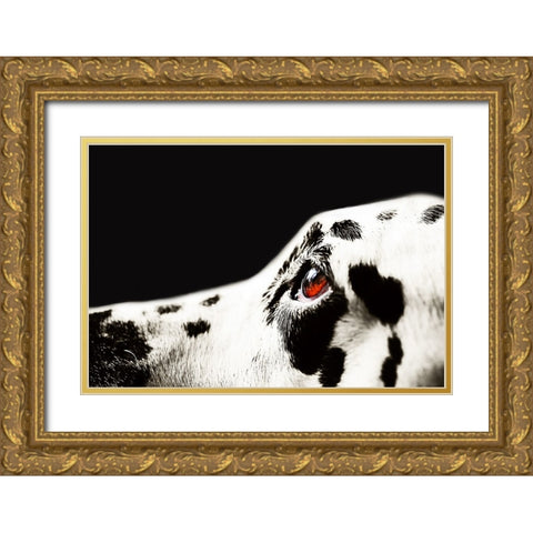 The Amber Eye of Dalmatian Dog Gold Ornate Wood Framed Art Print with Double Matting by Jenny Rainbow Fine Art
