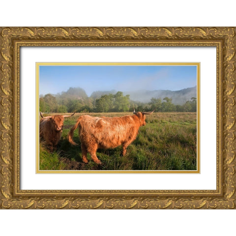 Rural Idyll Gold Ornate Wood Framed Art Print with Double Matting by Jenny Rainbow Fine Art