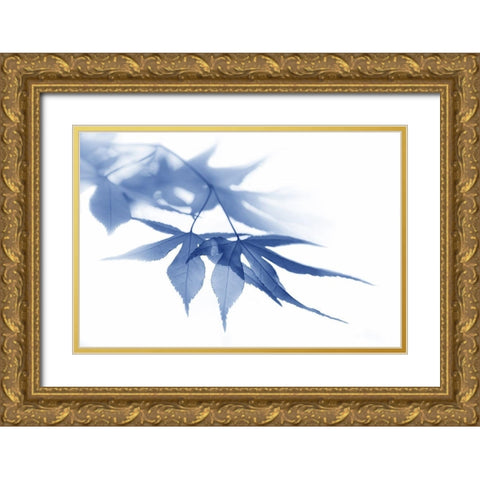 Blue Leaves 1 Gold Ornate Wood Framed Art Print with Double Matting by Schell, Jennie Marie