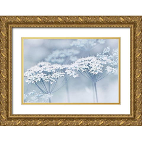 Blue Wildflowers Gold Ornate Wood Framed Art Print with Double Matting by Schell, Jennie Marie