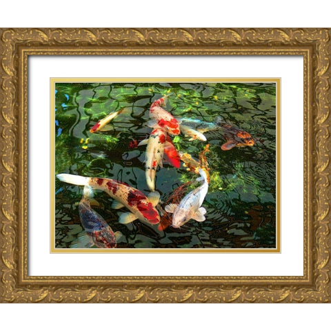 Koi Fish Pond Gold Ornate Wood Framed Art Print with Double Matting by Schell, Jennie Marie