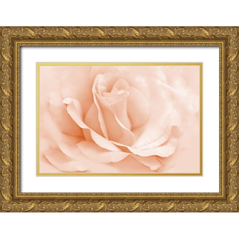 Rose Orange 2 Gold Ornate Wood Framed Art Print with Double Matting by Schell, Jennie Marie