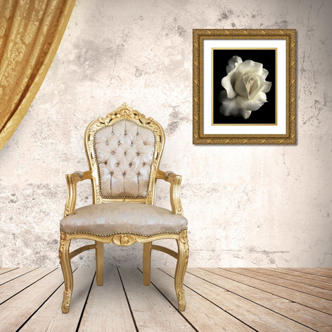 Rose White 1 Gold Ornate Wood Framed Art Print with Double Matting by Schell, Jennie Marie
