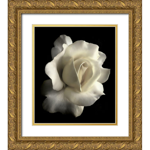 Rose White 1 Gold Ornate Wood Framed Art Print with Double Matting by Schell, Jennie Marie