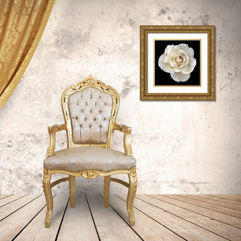 Rose White 2 Gold Ornate Wood Framed Art Print with Double Matting by Schell, Jennie Marie