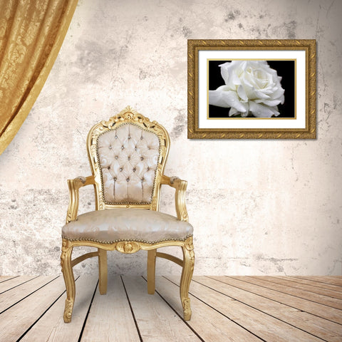 Rose White 3 Gold Ornate Wood Framed Art Print with Double Matting by Schell, Jennie Marie