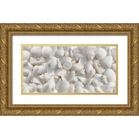 Seashells 2 Gold Ornate Wood Framed Art Print with Double Matting by Schell, Jennie Marie