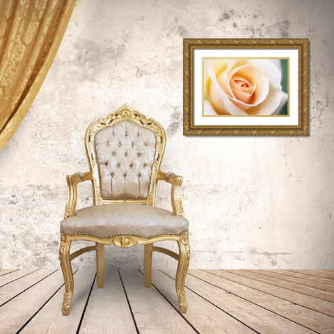Rose Orange 5 Gold Ornate Wood Framed Art Print with Double Matting by Schell, Jennie Marie