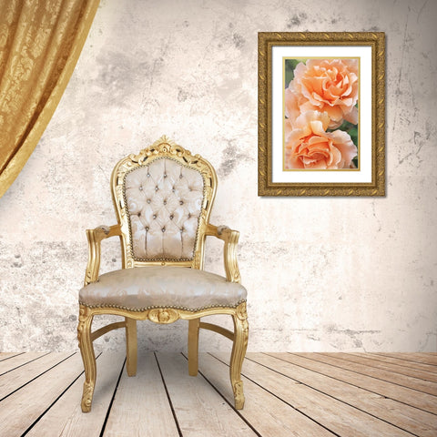 Rose Orange 7 Gold Ornate Wood Framed Art Print with Double Matting by Schell, Jennie Marie
