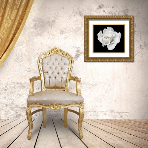 Rose White 5 Gold Ornate Wood Framed Art Print with Double Matting by Schell, Jennie Marie
