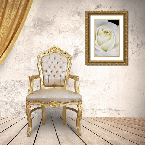 Rose White 7 Gold Ornate Wood Framed Art Print with Double Matting by Schell, Jennie Marie