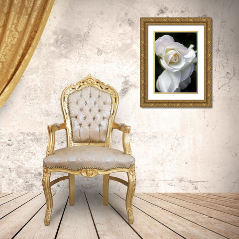 Rose White 8 Gold Ornate Wood Framed Art Print with Double Matting by Schell, Jennie Marie