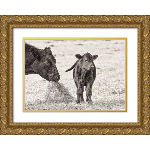 Cow and Calf Sepia Gold Ornate Wood Framed Art Print with Double Matting by Schell, Jennie Marie
