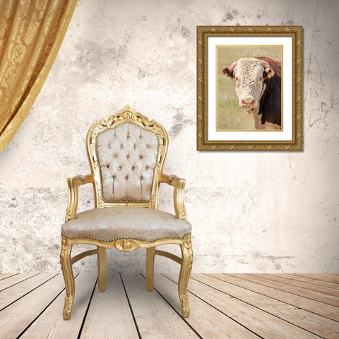 Hereford Bull Color Gold Ornate Wood Framed Art Print with Double Matting by Schell, Jennie Marie