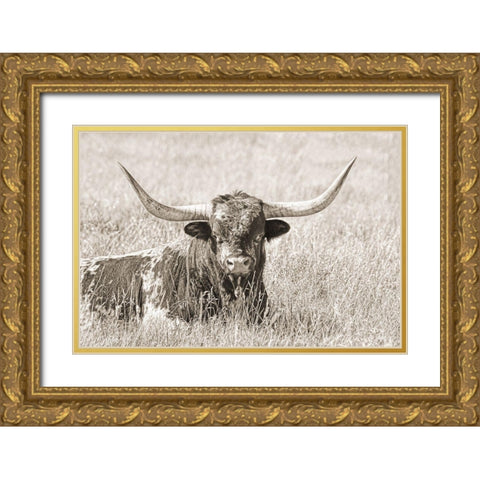 Longhorn Bull Sepia Gold Ornate Wood Framed Art Print with Double Matting by Schell, Jennie Marie