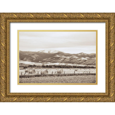 Montana Hayfield Gold Ornate Wood Framed Art Print with Double Matting by Schell, Jennie Marie