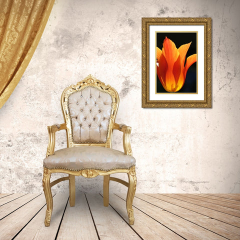 Orange Star Tulip Flower Gold Ornate Wood Framed Art Print with Double Matting by Schell, Jennie Marie