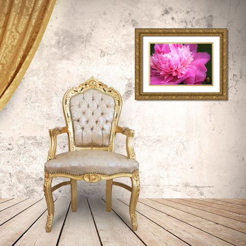 Pink Peony Flower Gold Ornate Wood Framed Art Print with Double Matting by Schell, Jennie Marie